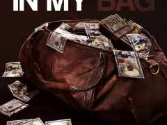 Inmybagcover