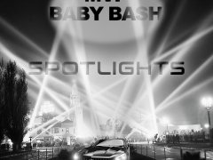 MVPBashSpotlighgts-copy