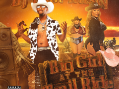 djtootnastybiggirlcover