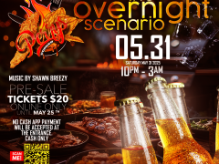 theovernightscenario