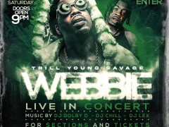 webbieflyer_green_5x5