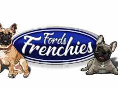 FordsFrenchies-copy